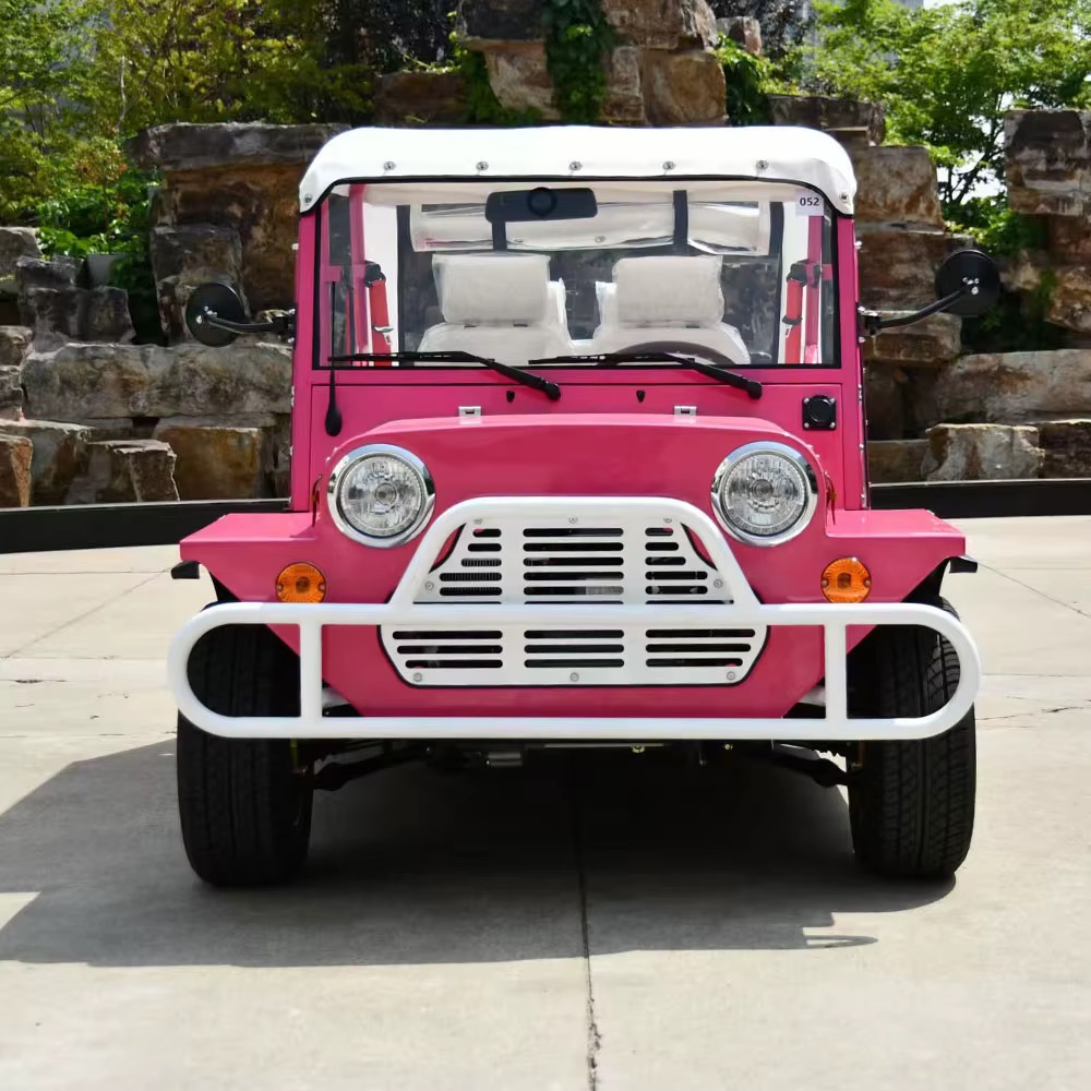 Pink Capri electric vehicle viewed head-on with white front guard